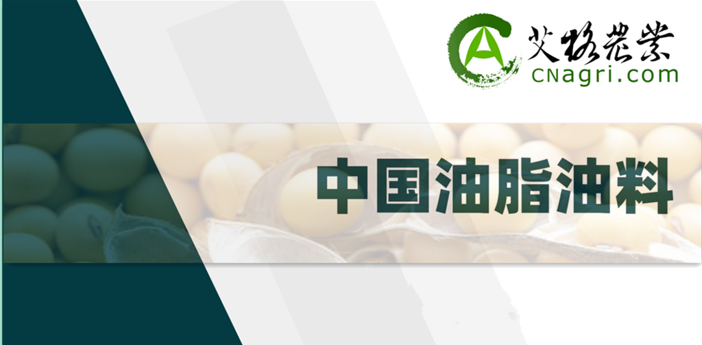 "油"刃有余？中澳重启油菜籽贸易背后的多元化考量